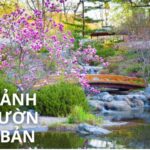 tiểu cảnh sân vườn nhật bản