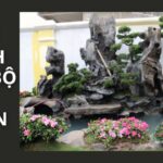 tiểu cảnh non bộ sân vườn